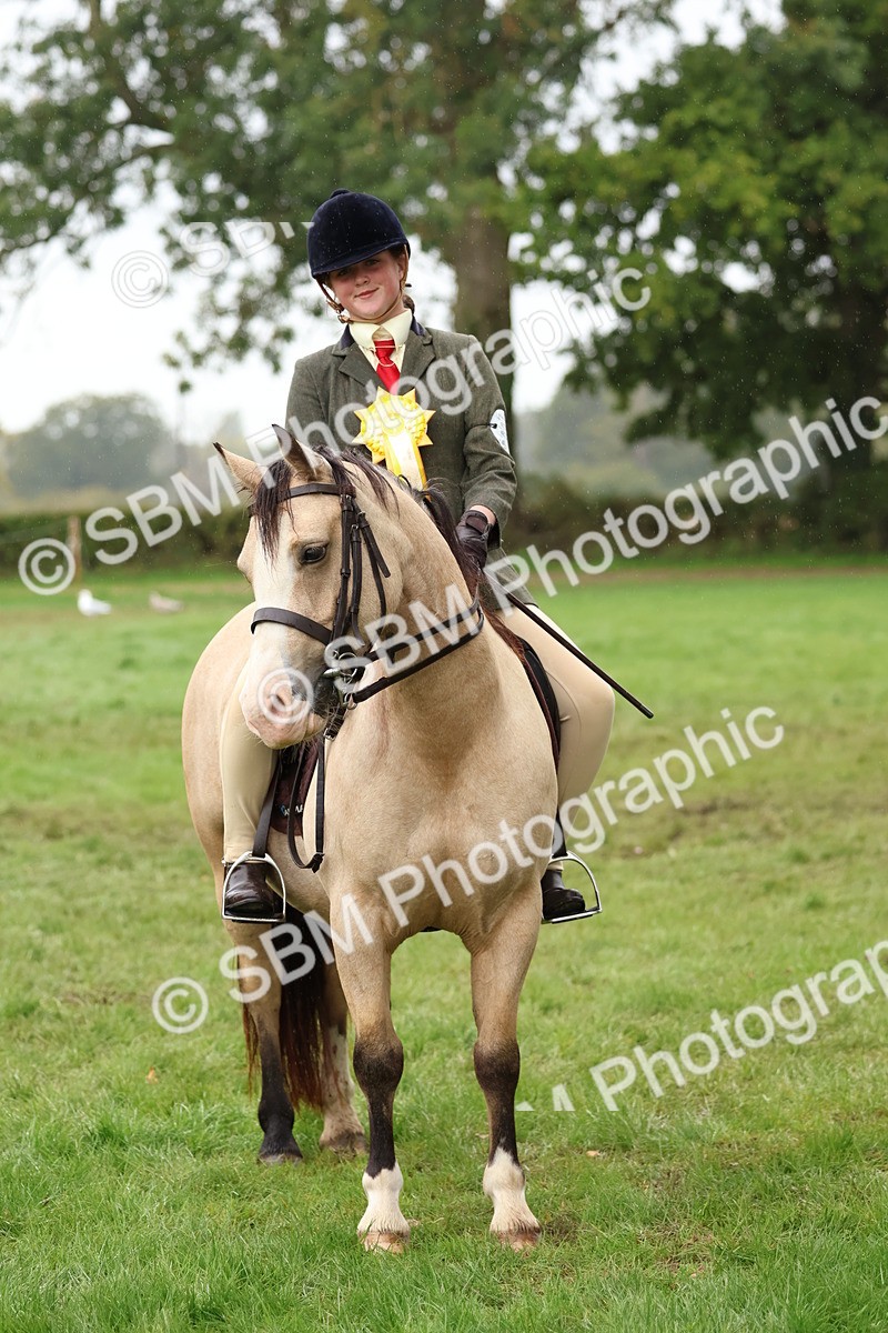 SBM_69748 - S62 - Mountain & Moorland Ridden Large Breeds