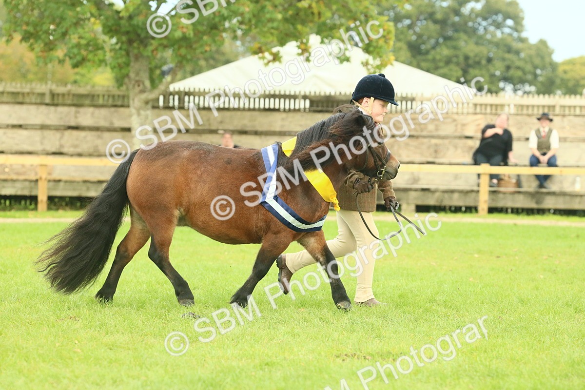 SBM_75231 - Super Supreme Championship