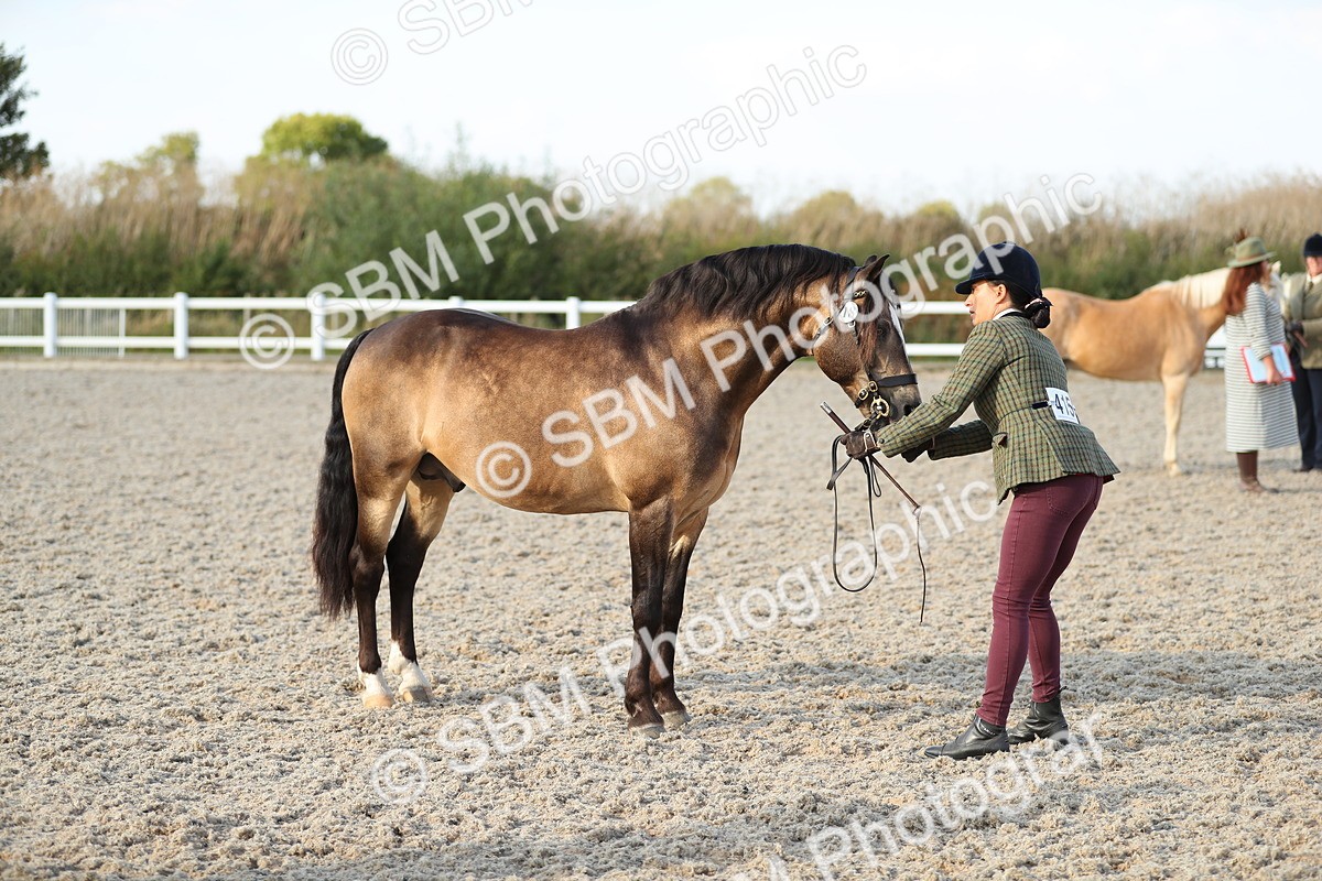 SBM_08943 - Class 29 IH Veteran Pony