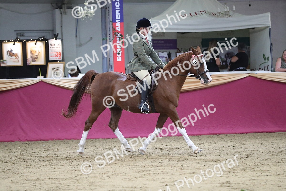 SBM_08451 - Class 11R Regional Ridden Veteran