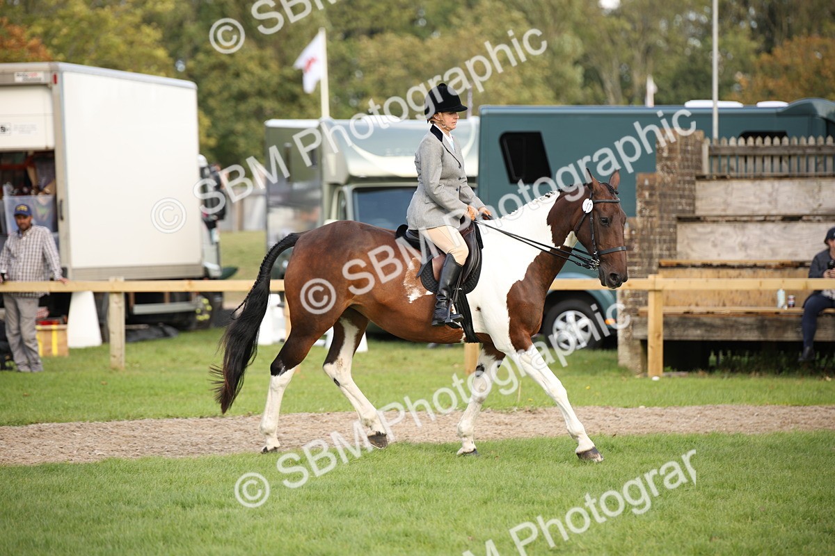 SBM_50199 - S26 - Young Veteran - Ridden