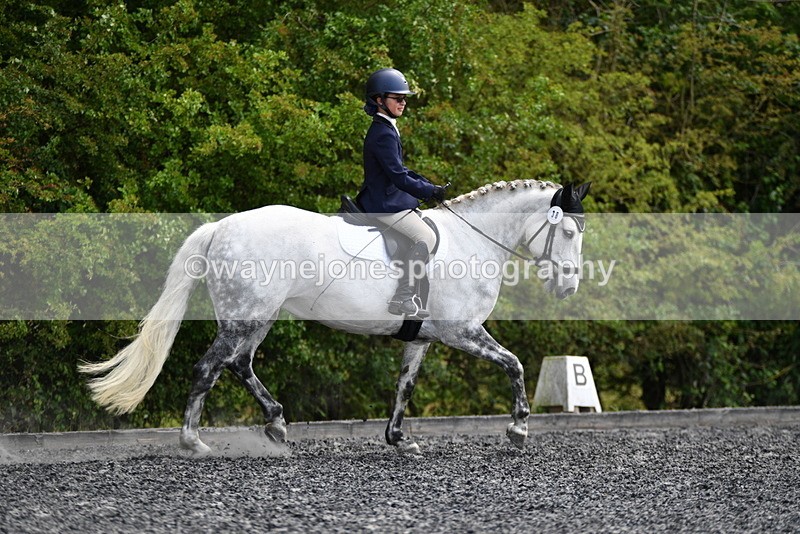 WJ5_1135 - Time 13:45 to 14:20