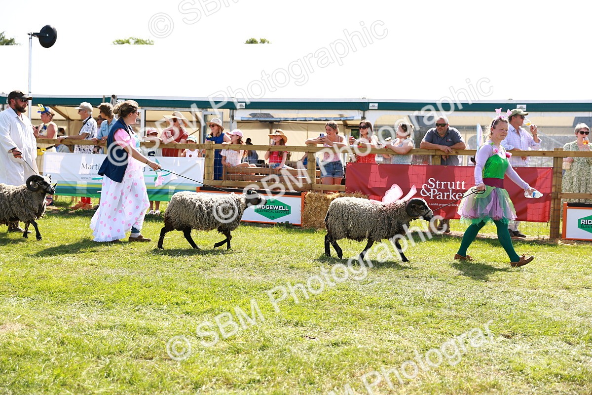 SBM_08411 - Grand Parade