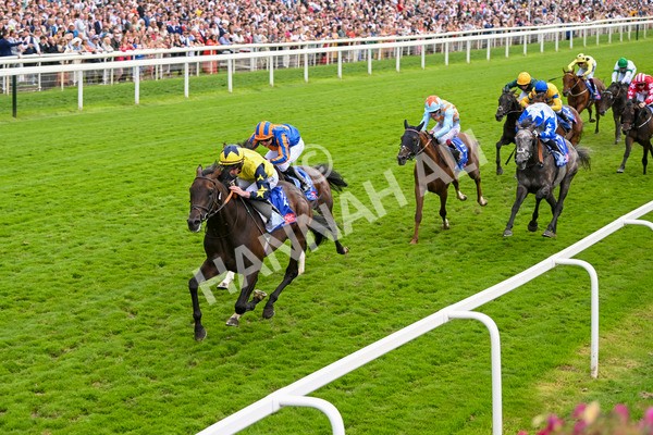 240824-Race 2-Tabletalk-1325 - Race 2 2.25pm Sky Bet Melrose Handicap