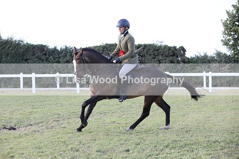 JPP_3744 - Working Hunter Championship