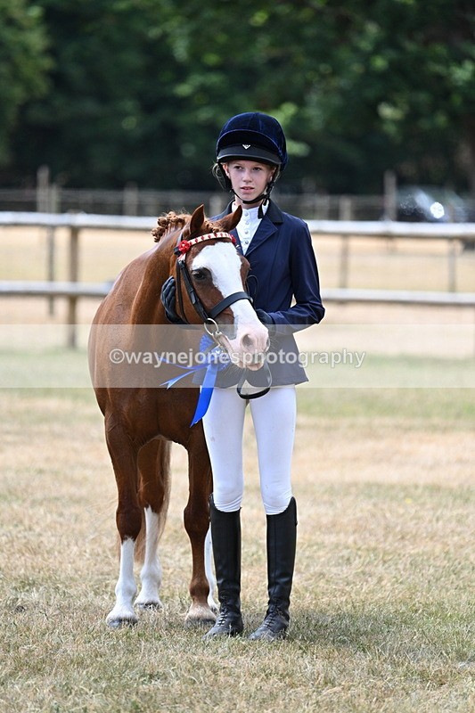 WJ7_2090 - Prettiest Mare Champs