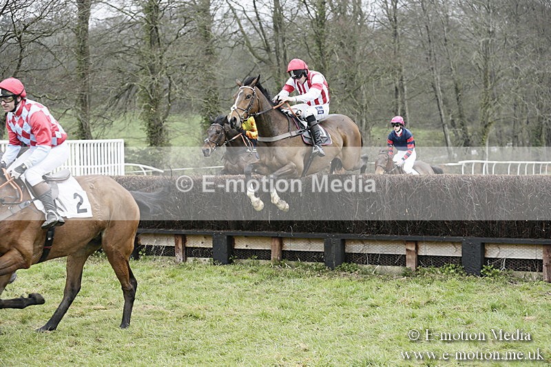 PtP 020418 -141 - Old Berks Point-to-Point Races Easter Monday 02/04/18