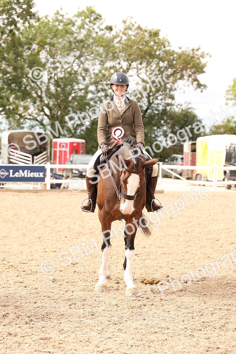 SBM_17282 - Class 213 - Ridden Hunter - Large