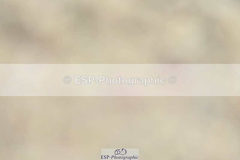 230630A-113849-01670 - Cls 7 Elementary 45