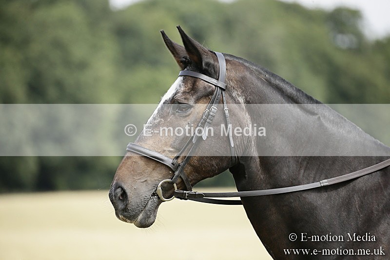 _EP59103 - Roving Camera BVRC Show 2018