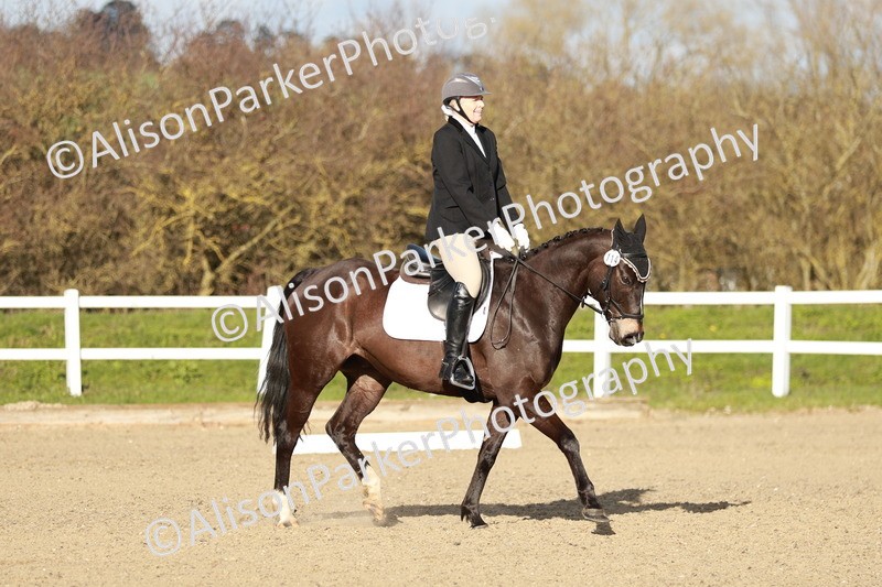 20260314-5398 - DR4 - Prelim 2