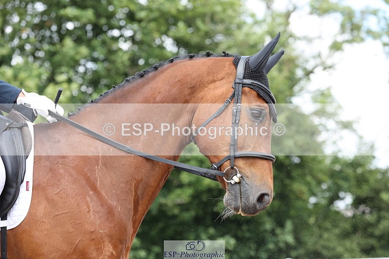 240621A-122817-00745 - Cls 12 BD Music Medium