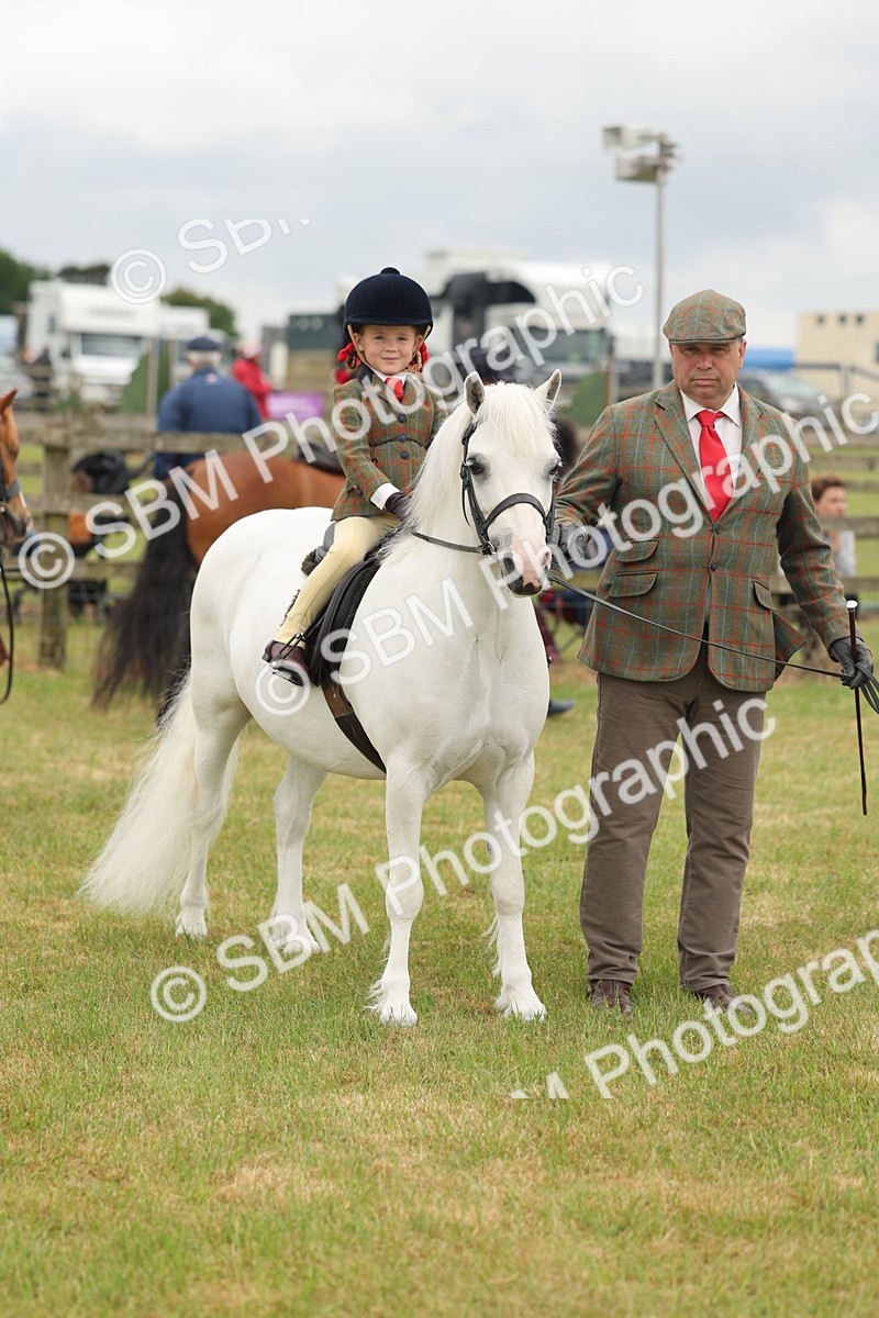 SBM_06742 - Class 74-75 - M&M Lead Rein and First Ridden Pony