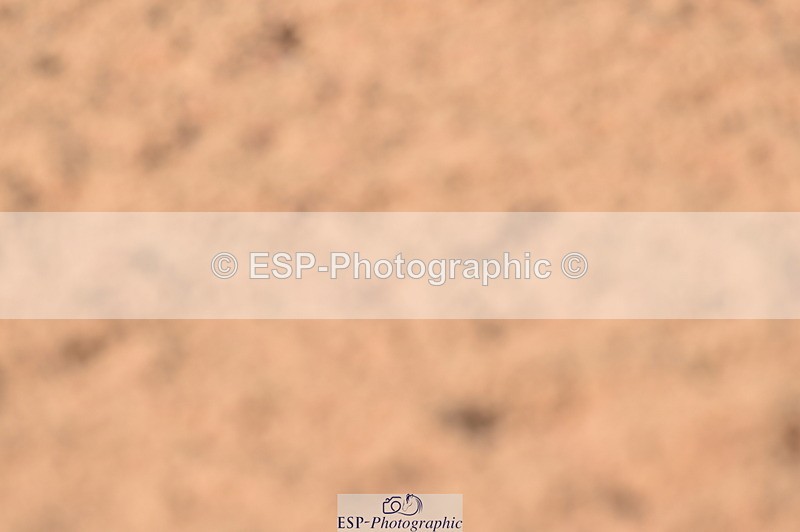 240306A-144730-01724 - Cls 4 Newcomers and 1.10m Open