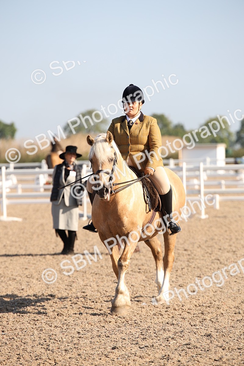 SBM_00706 - Class 14 Ridden M&M Wildcard