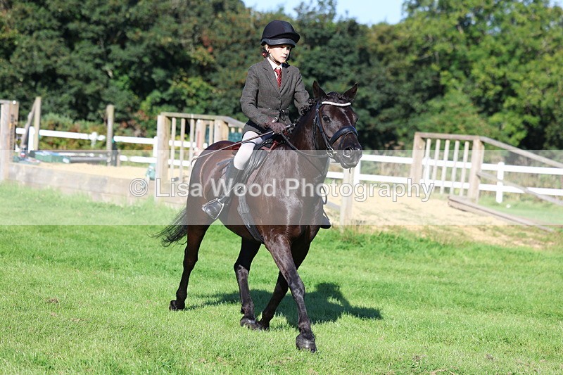 3E7A7635 - Class 1: Novice Working Hunter Pony