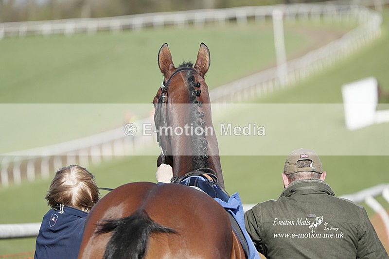 PtP 100423 1191 - Old Berkshire Point-to-Point Lockinge 10/04/23