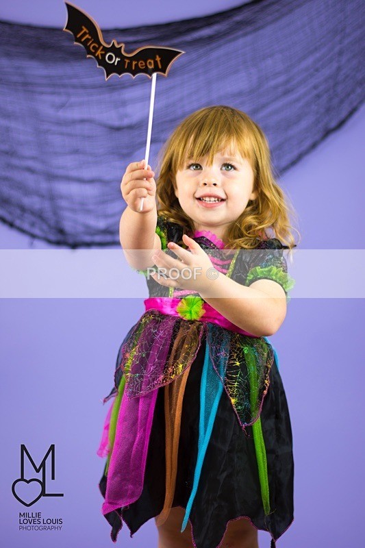 DSC_0017 2 - Themed Minishoots