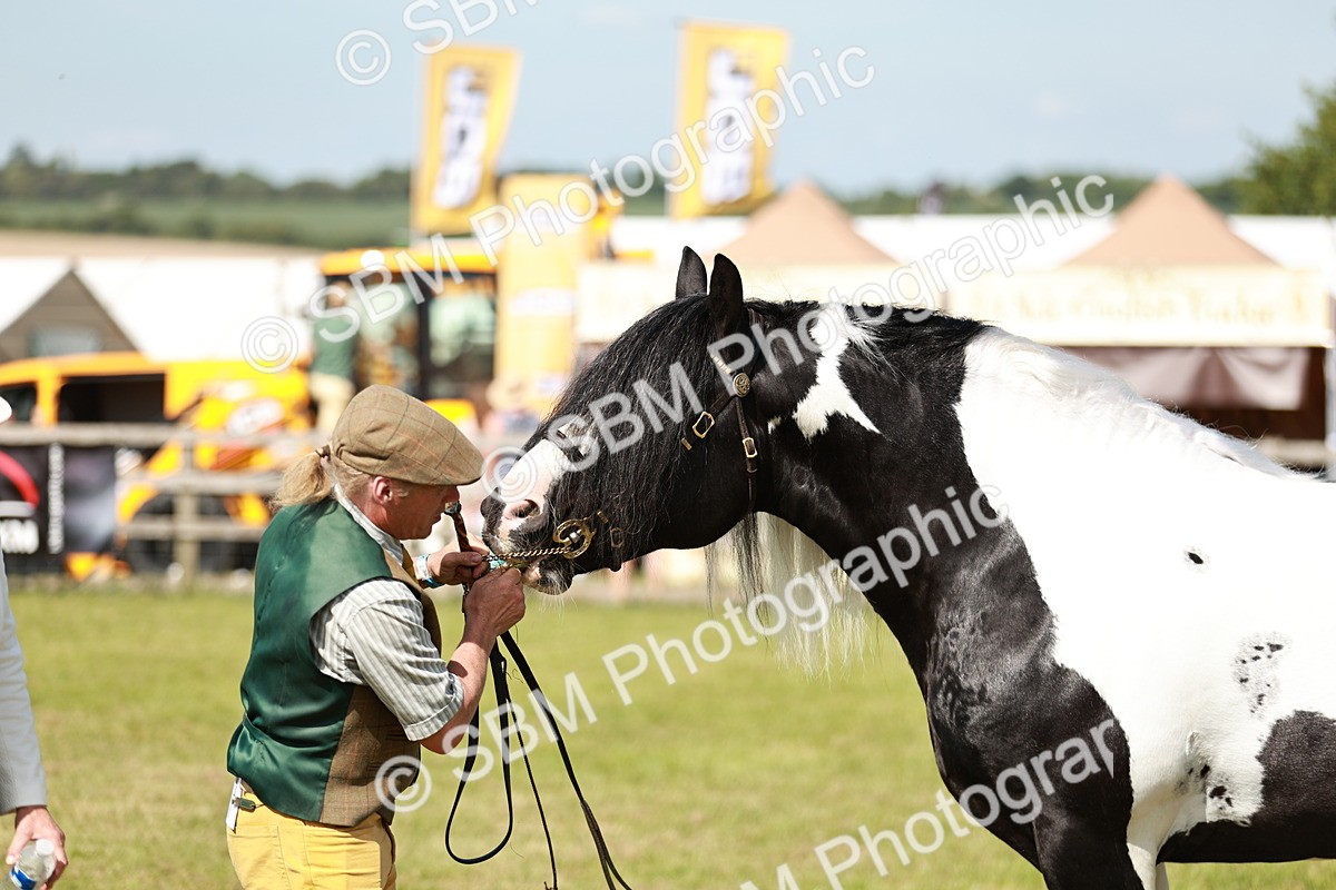 SBM_08863 - Class 63-65 - Traditional Gypsy Cobs In Hand & Ridden