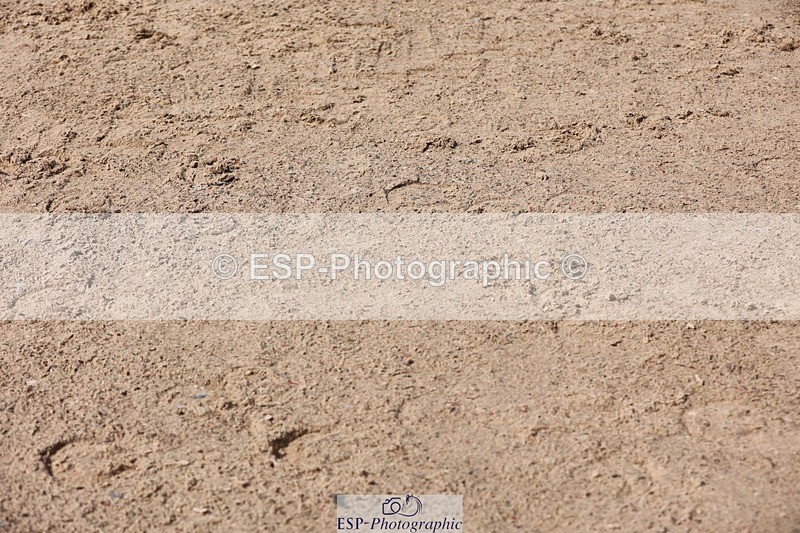 250427-111951-15920 - Cls 36 Young Horse 7yr old