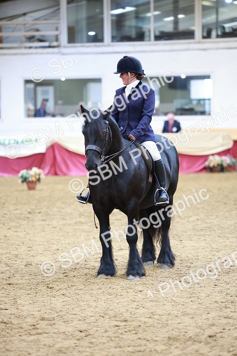 SBM_18812 - Class 952 - M&M Ridden Supreme Final