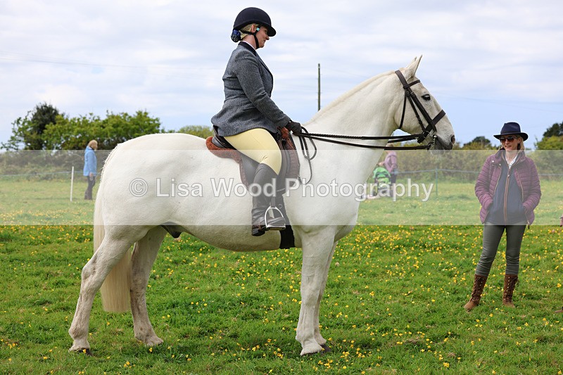 3E7A1335 - Class 7: Ridden Hunter Type