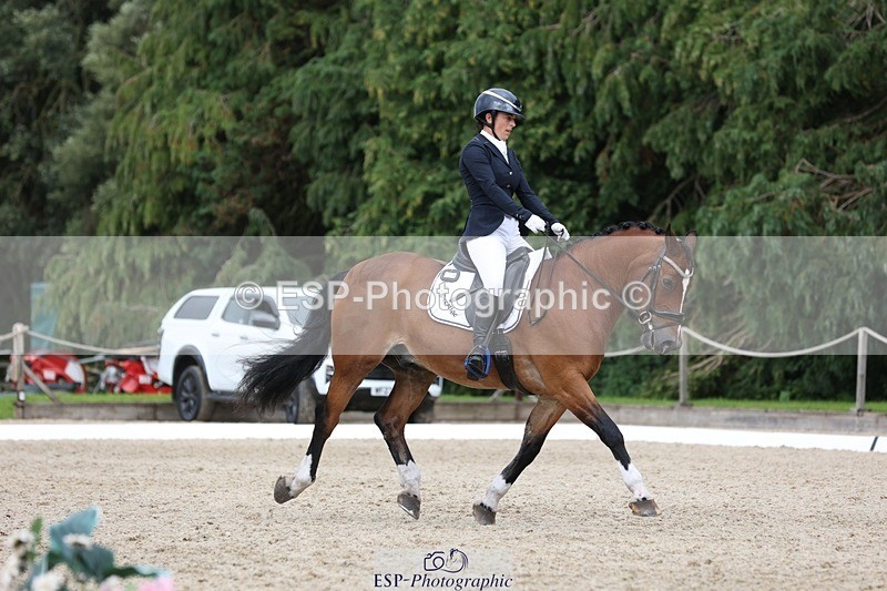 230812-150856-05059 - Cls 5 Novice Bronze 15.00 to End