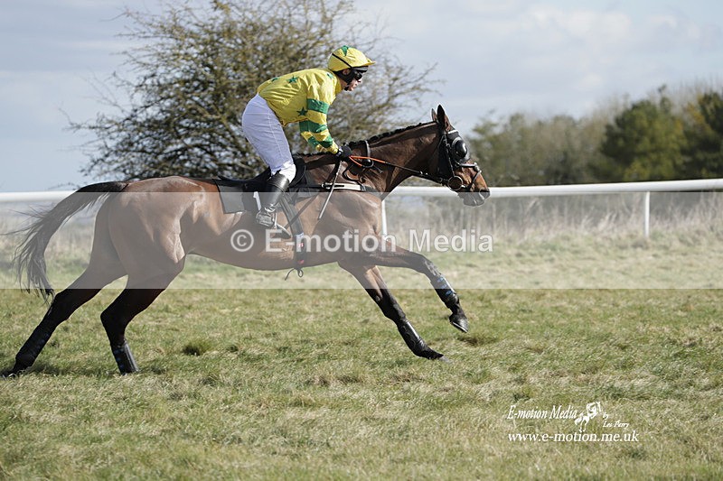 PtP 260223 285 - South & West Wilts Point-to-Point Larkhill 26/02/23