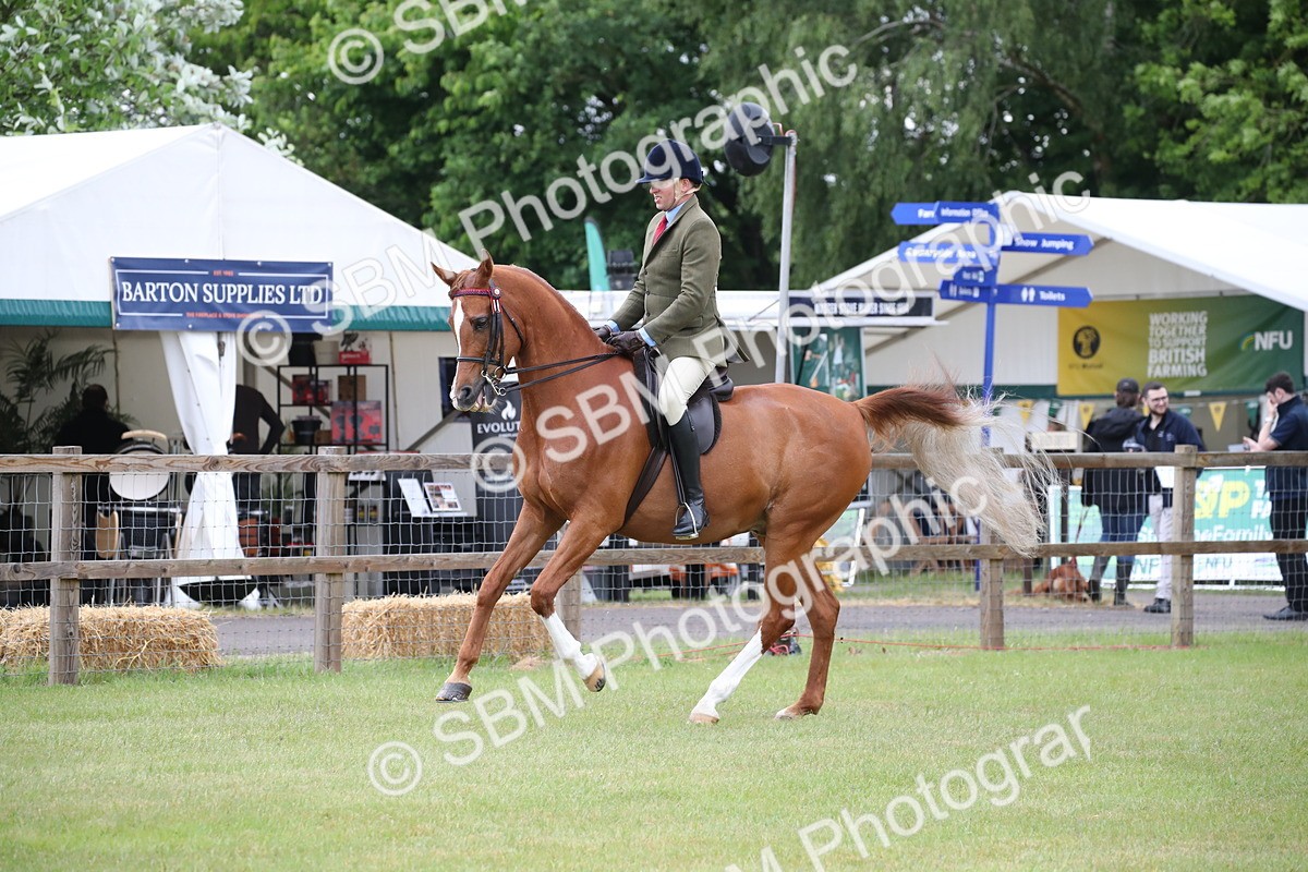 SBM_03626 - Class 21 - 22 - Ridden Arab and Part Bred/Anglo Arab