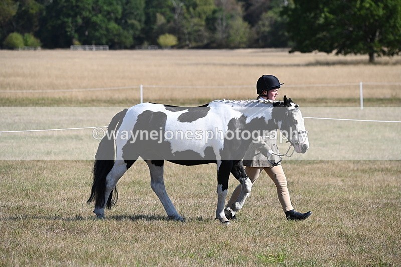 WJ6_7177 - Class 33 Rescue Pony