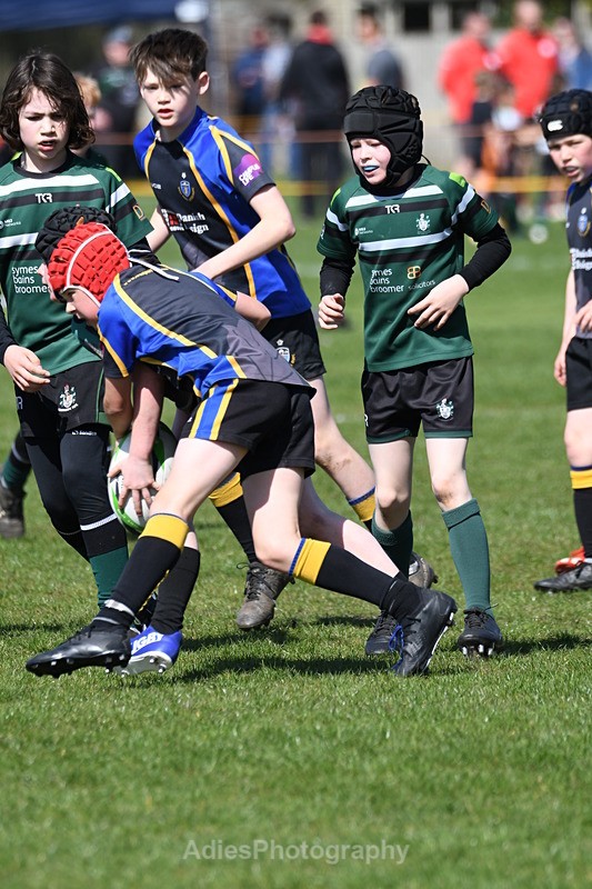  - Selby Rugby Festival 2025