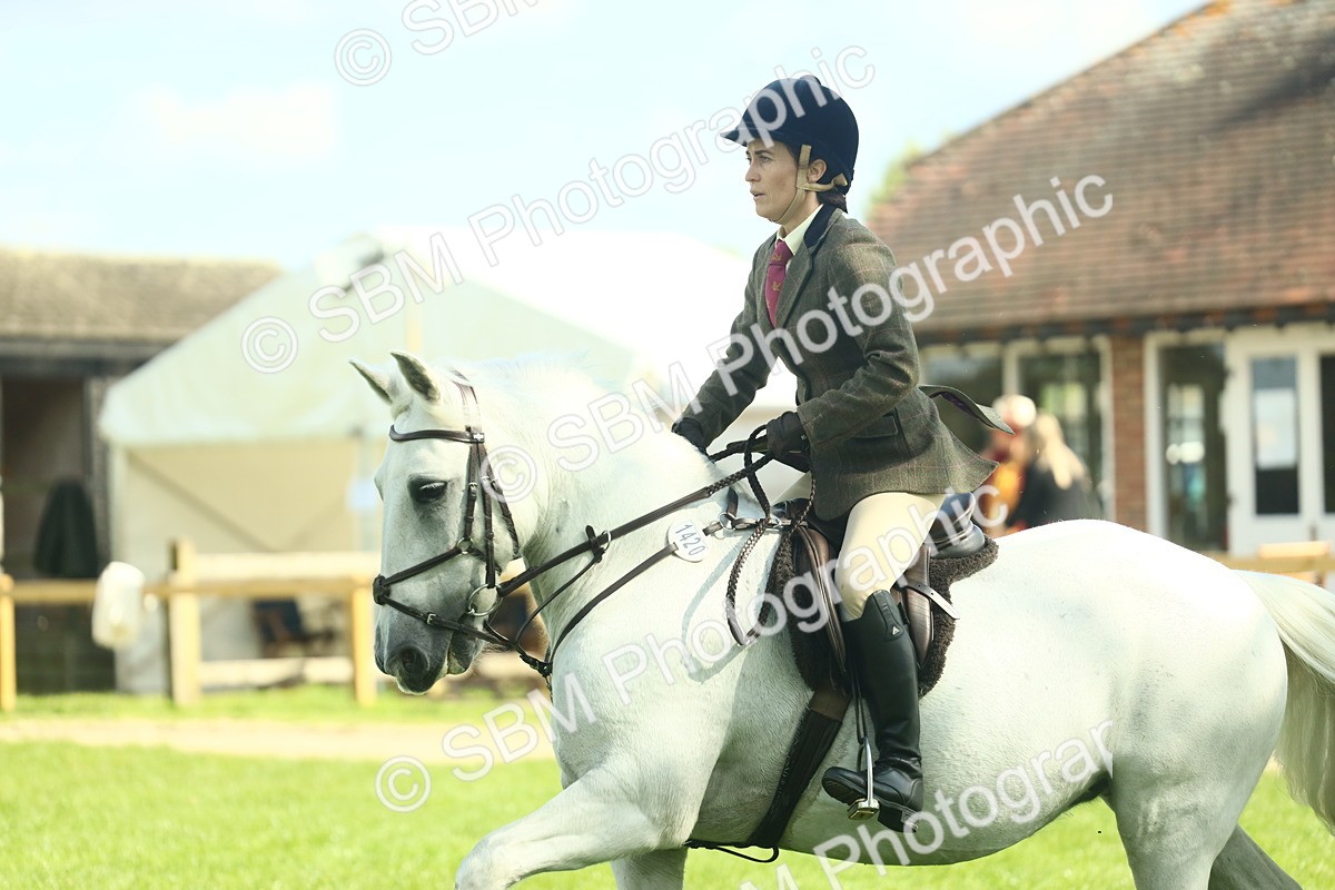 SBM_41997 - S29 - Novice & Newcomers Working Hunter Pony