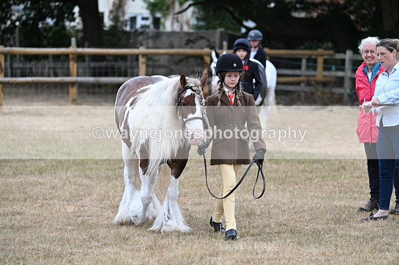 WJ7_8060 - Class 4 Prettiest Mare up to 14.2hh