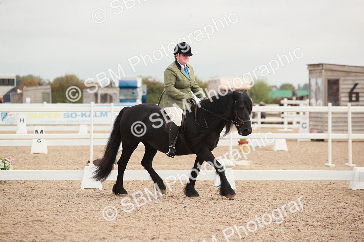 SBM_02554 - Class 30 - Intro 1