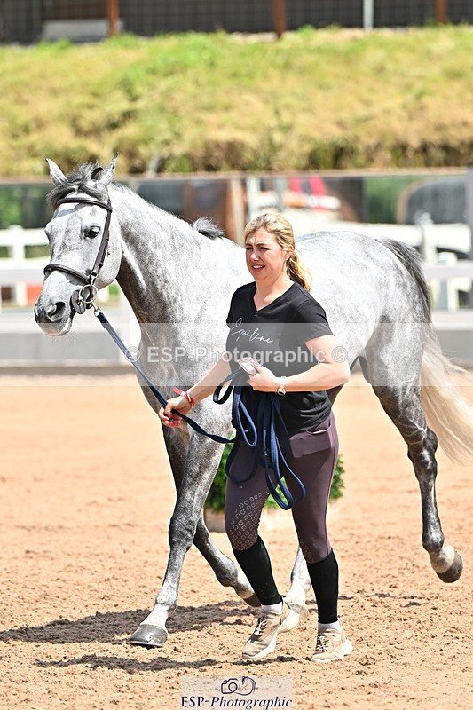 240718A-105312-01685 - Trot Up 1pm to 2pm