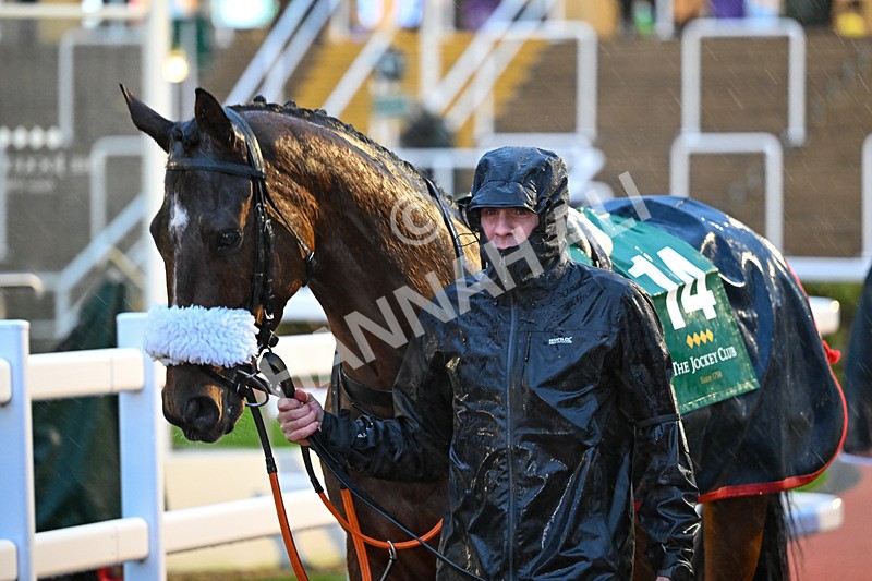 141125-Race 6-Bruant-1209 - Race 6