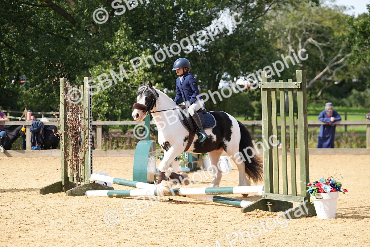 SBM_65824 - J2 - Mini Tour Junior Pony 30cm Championship