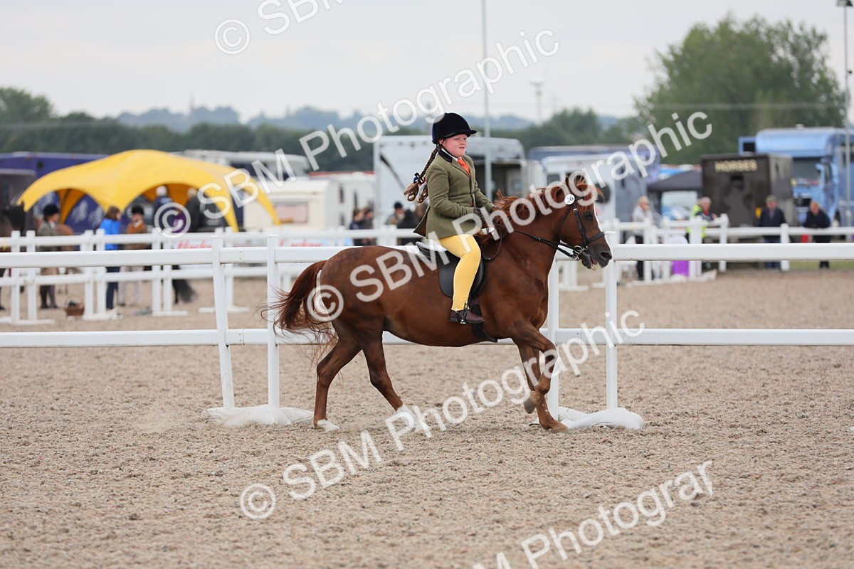 SBM_18172 - Class 316 Best Pony/Rider Combination