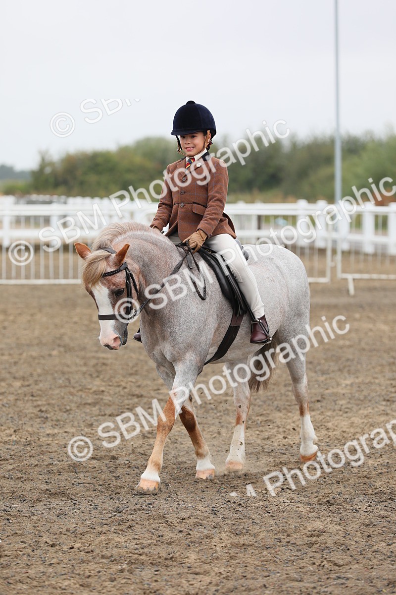 SBM_21812 - Class 806 - Young ridder 10 Yr & Under