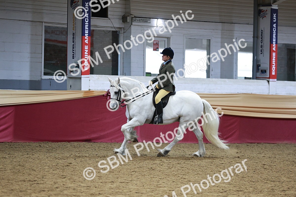 SBM_08253 - Class 11R - Regional Ridden Veteran