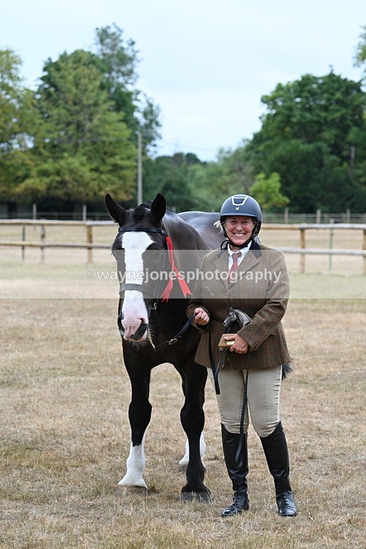 WJ7_0216 - Gelding Champs