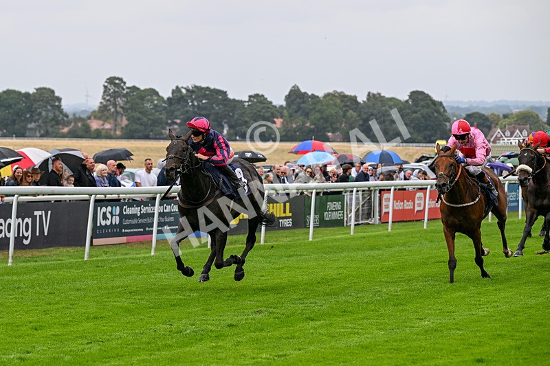 290826-Race 2-Valley Of Flowers-5954 - Race 2 2.20pm Napoleons Casino And Restaurant Hull Handicap