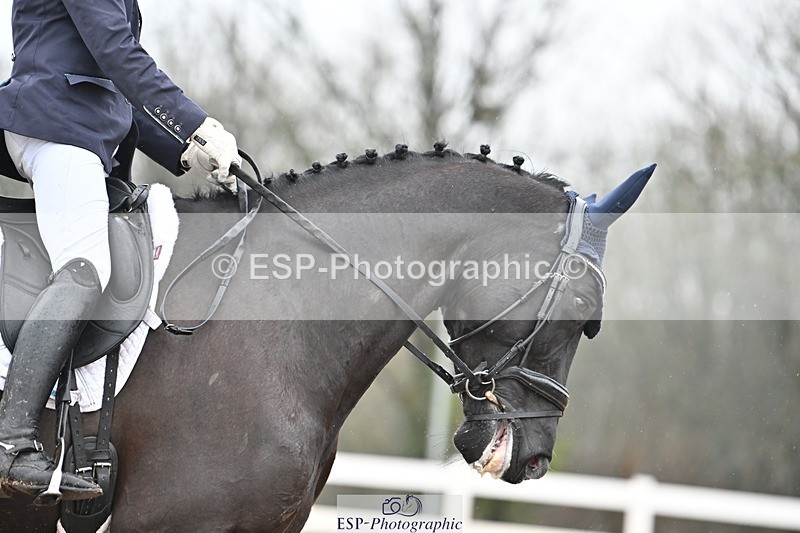 250215-135726-03966 - 228-Louise.Hutchinson-Shovern.Noire