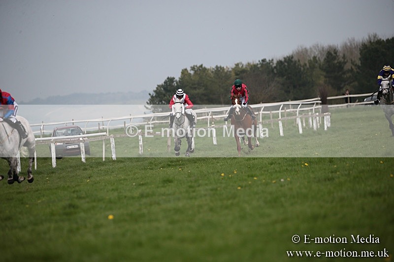 PtP 210418 274 - South & West Wilts Point-to-Point Larkhill 21/04/18