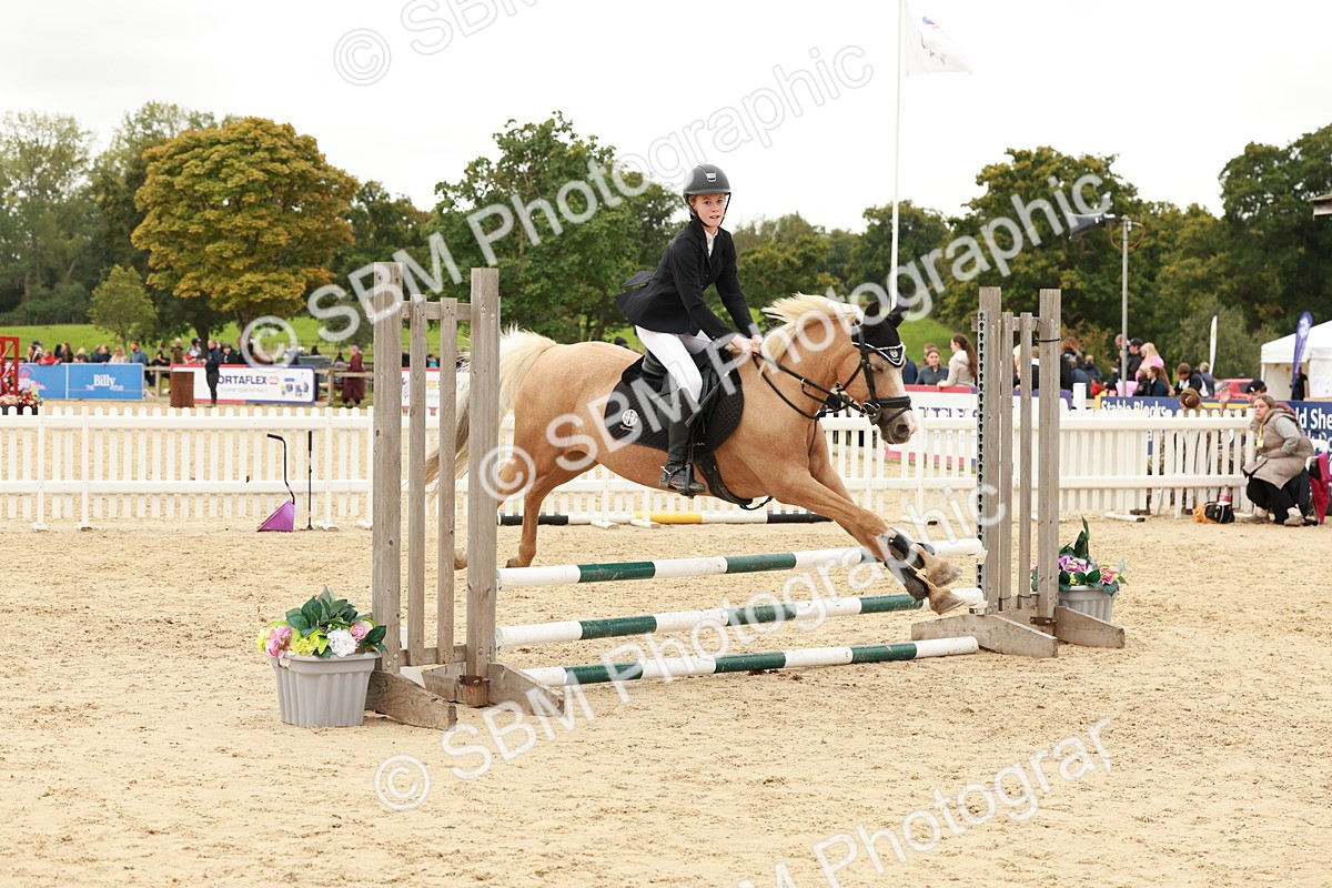 SBM_63733 - J12 - Junior Pony 55cm Championship