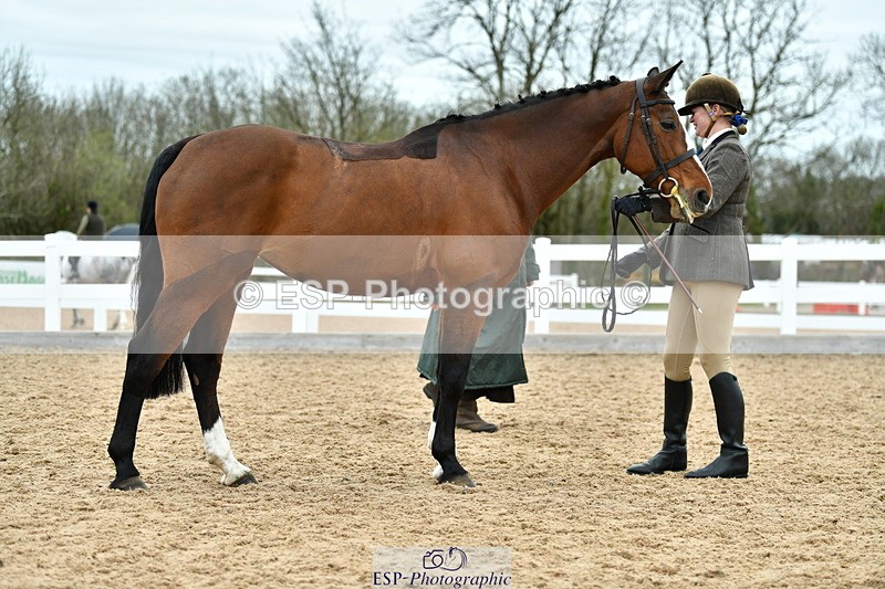 230416A-135355-04966 - Cls 60 Ridden Show Horse