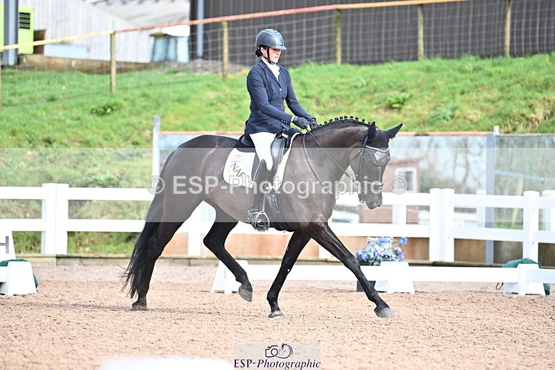 240218A-115712-06924 - 204-Elder.Klatzko-Dynasty.Hit