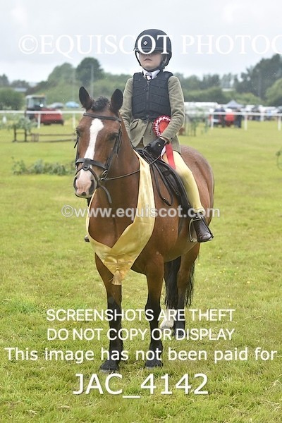 JAC_4142 - 40CM WORKING HUNTER