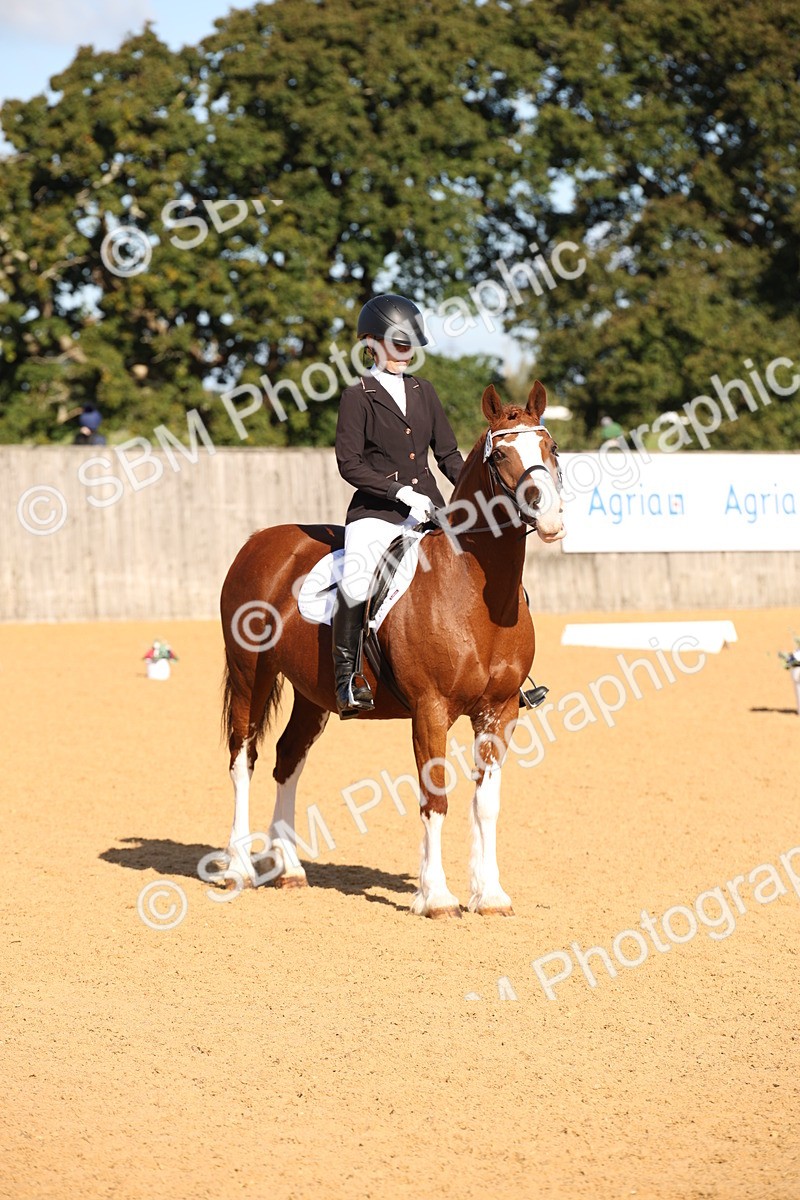 SBM_01918 - D2 Small Tour Championship Intro C