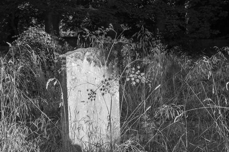  - Remnants of Faith